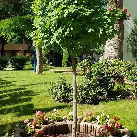 Yassen Luxury